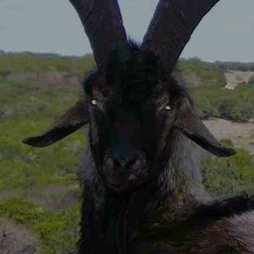 scapegoat (instrumental) (prod. by aphat)