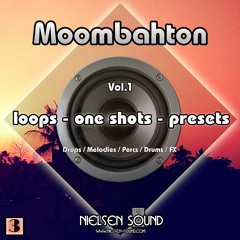 Ultimate Moombahton Samples + Presets (SERUM, SPIRE, MASSIVE & SYLENTH)