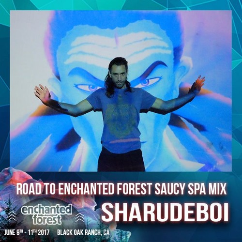 Road Trip To Enchanted Forest - SharudeBoi Saucy Spa Mix