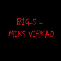 Big - S - Miks Vihkad