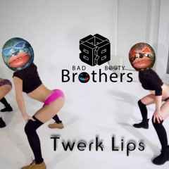 Sum 41 ft. Vikstrom - Twerk Lips ( Bad Booty Brothers Mashup )