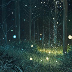 A Light in the Forest