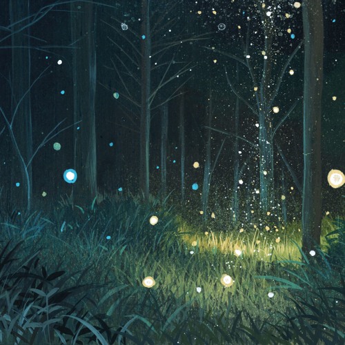 A Light in the Forest