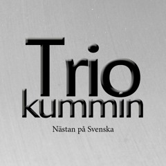 01 Boat Song - Trio kummin