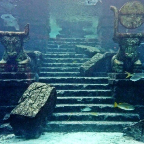 Atlantis - 250zł/$60