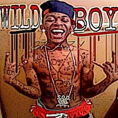 Wild Boy - Cáo