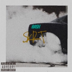 BASH - SKRT