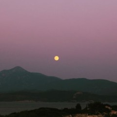 Gloomy peace  w/ Prince Flow