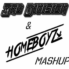 Too Many Artist - My Reflection Dance Electric (3rd Division & Homeboyz VIP Mashup)