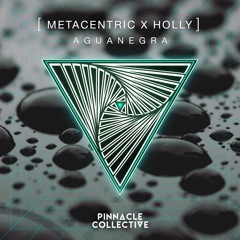 Metacentric x Holly - Aguanegra