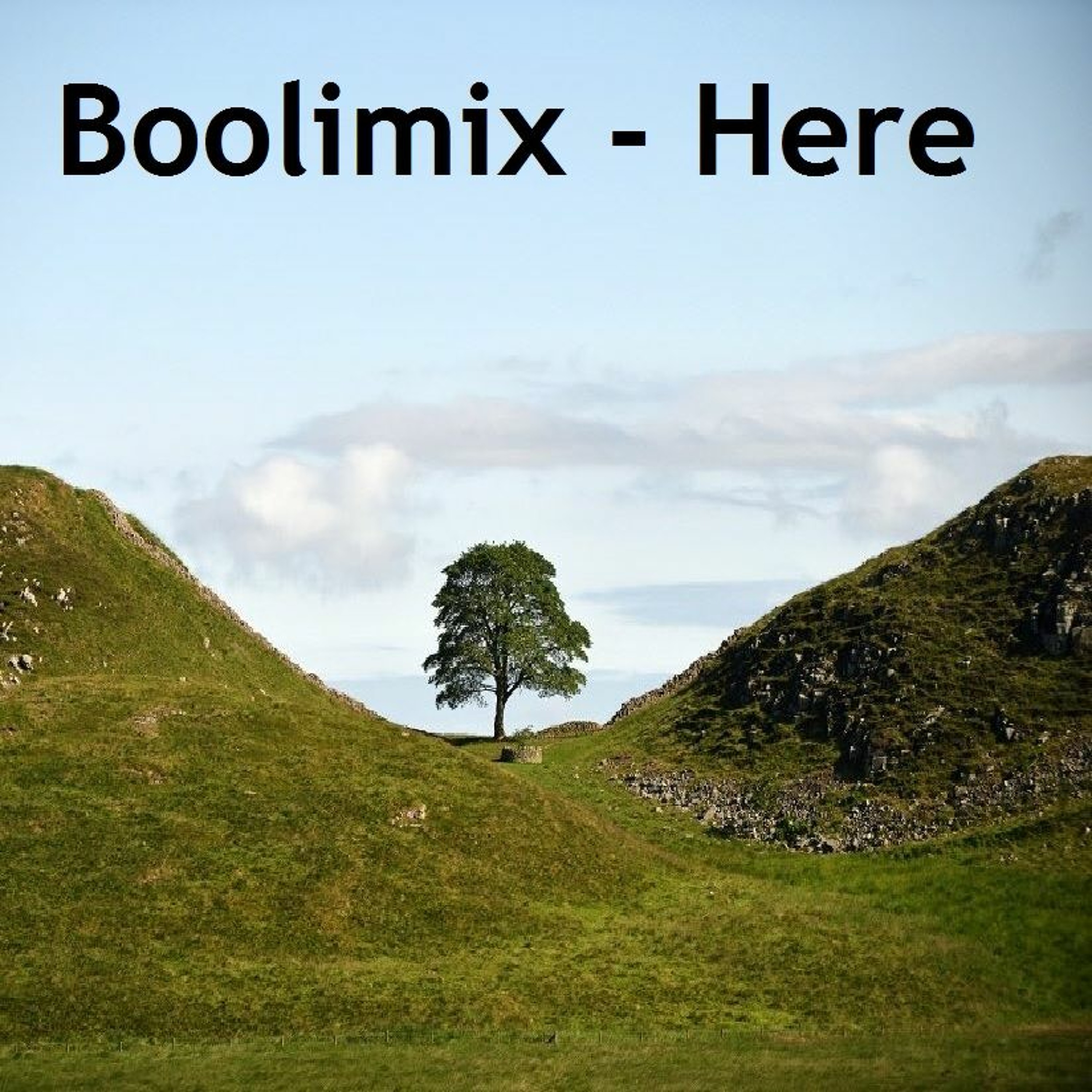 boolimix