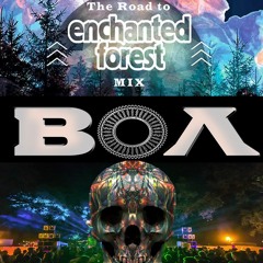 Road Trip To Enchanted Forest 2017