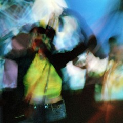 suburban foliage - raised by palm trees