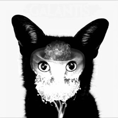 Galantis - Runaway (Frenchcore Remix)