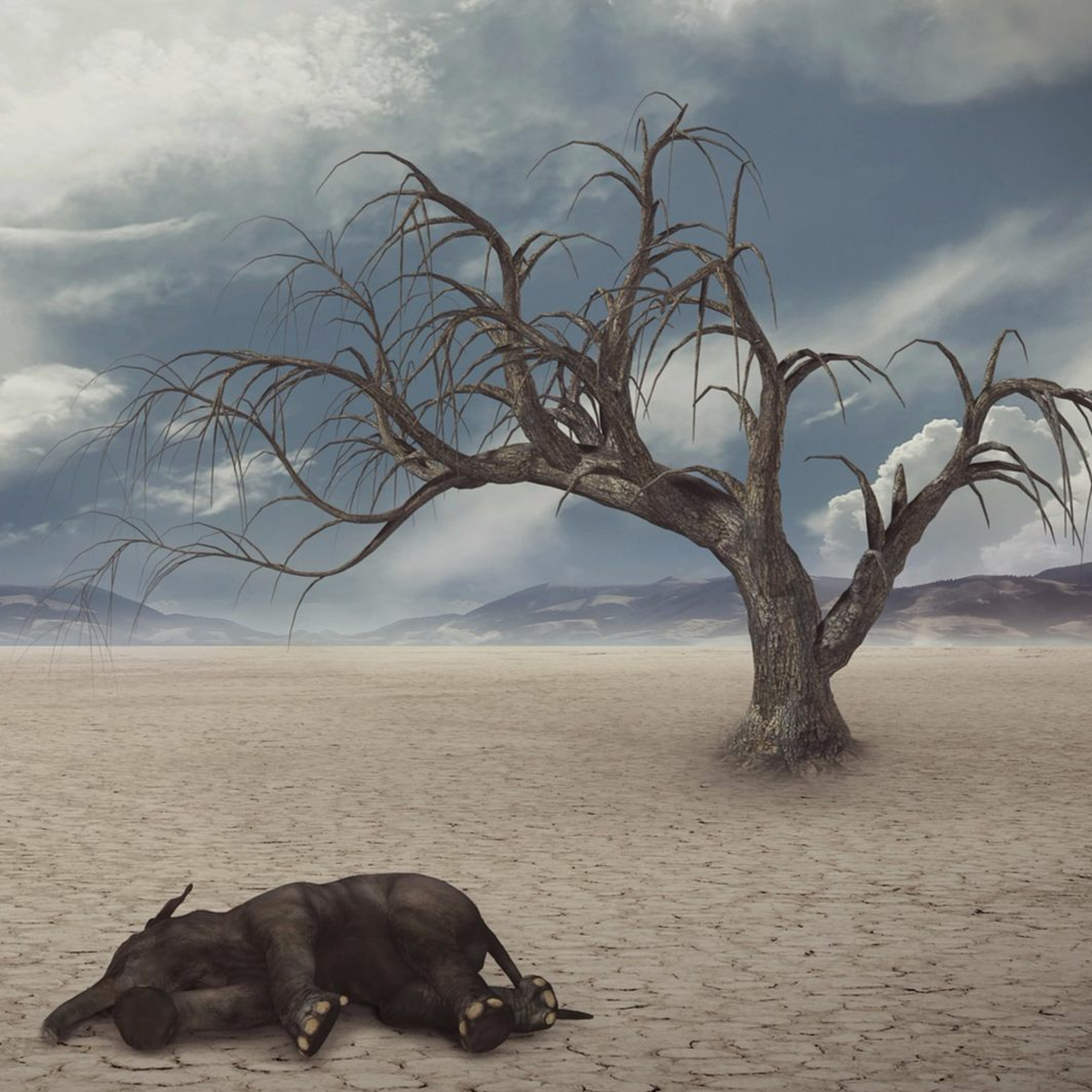 Sympathetic Extinction episode artwork