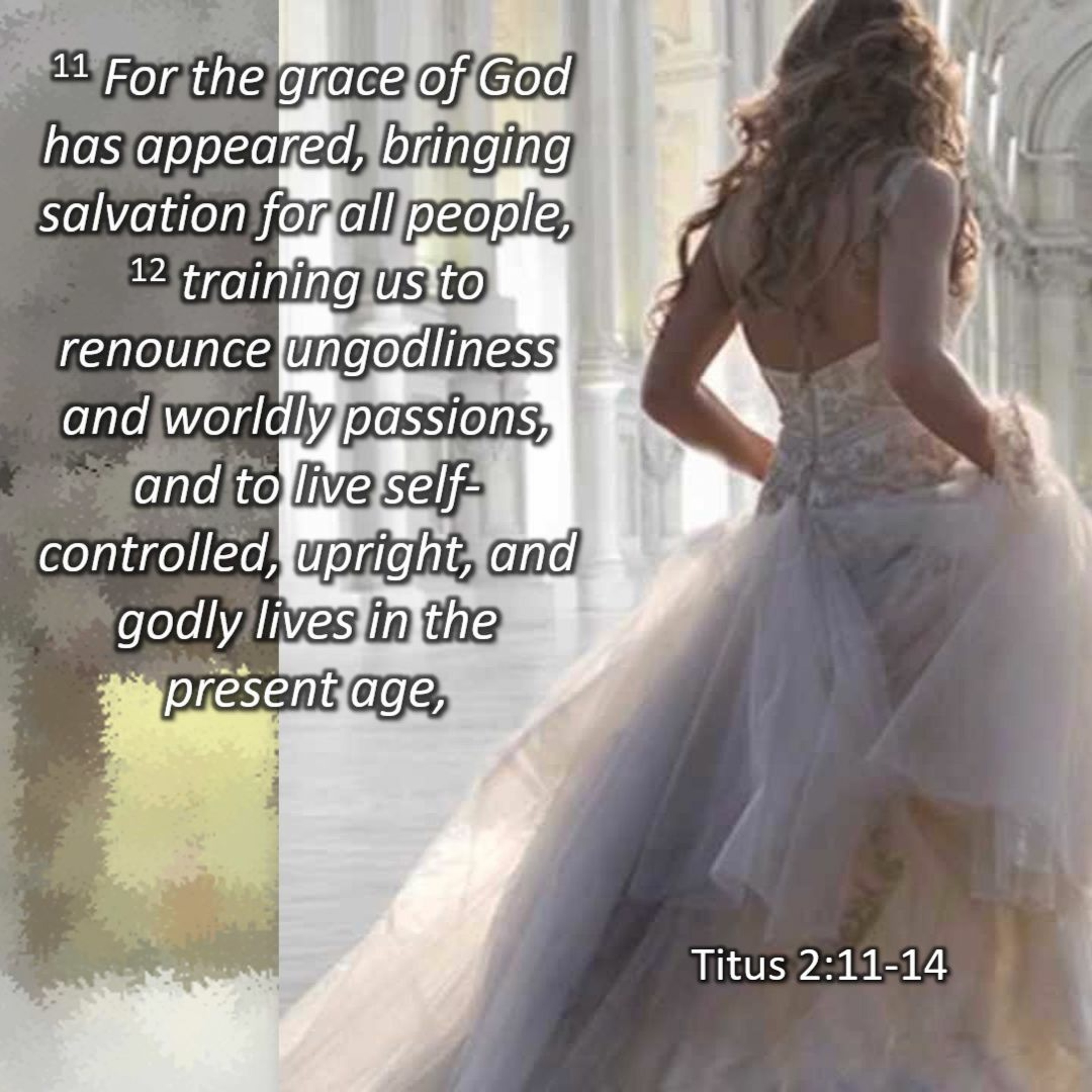 Titus Week 8 - Titus 2:3 "Instructions on Godliness for Older Women" episode artwork