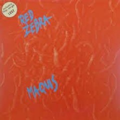 Red Zebra - Beirut by night