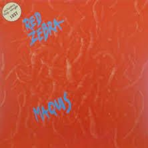 Red Zebra - Beirut by night