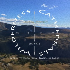 Wilderness Cathedrals
