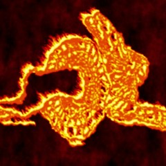 Rotten Beach - SINE TREE