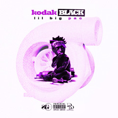 Kodak Black - Vibin In This Bih (Chopped N Screwed)