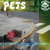 Artwork for Mashup Mexico - Porno For Pyros - Pets - ( Cumbia Edit )
