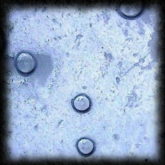 500 Feet Below - Consent