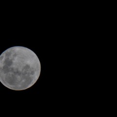 I Hate Pretty Girls, They Remind Me Of You