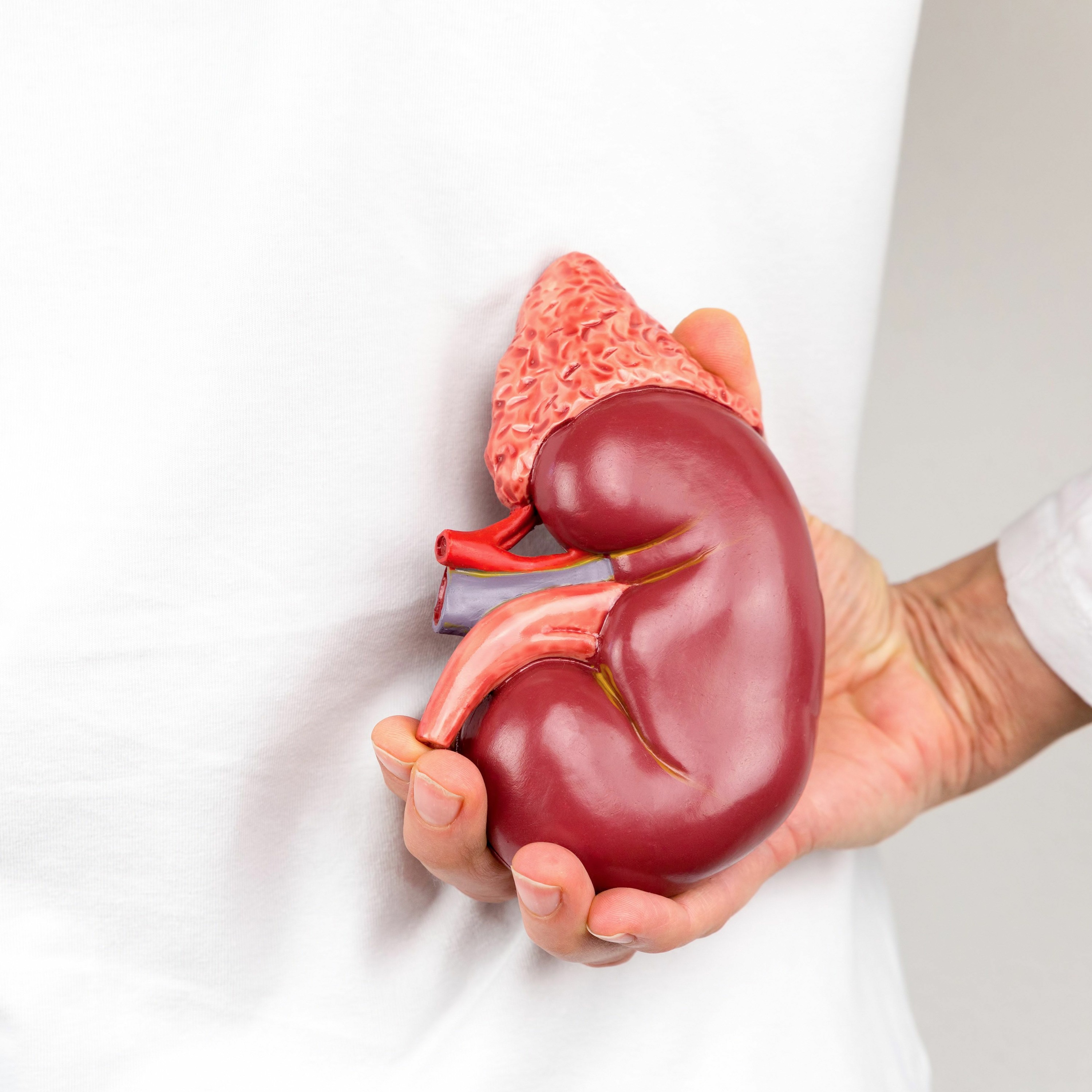 What's Wrong with our Kidneys? episode artwork