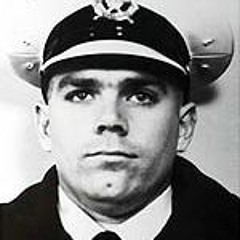 The Guitars // Confessions Of A Police Captain