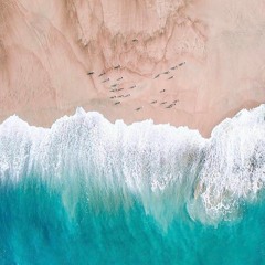 Set30