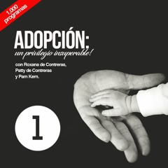 2017_22_01 Adopción - Un Privilegio Insuperable (Lunes)