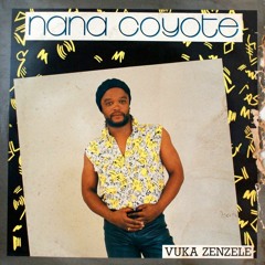 'Vuka Zenzele' - Nana Coyote (1989)