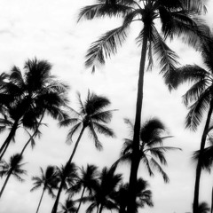 505 - Arctic Monkeys Cover | Coffee House Edition |