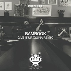 PREMIERE: Bambook - Give It Up (Quina Remix) [Faceless Recordings]