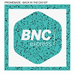 Promenade - BACK IN THE DAY EP ( CLIPS )