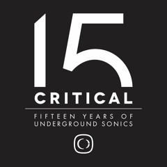 15 Years Of Critical Sound Mix