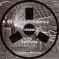 CRD050 - ENTROPY  FREQUENCY - Sushuma (N.O.B.A Remix) (Preview)
