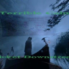 Terrible Calm- Ticket {Downstream Official}