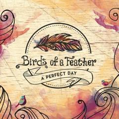 Birds Of A Feather Band - A PERFECT DAY - 01 - PERFECT DAY