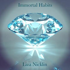 Indirect Route (from the album Immortal Habits out now on iTunes - Filter099)