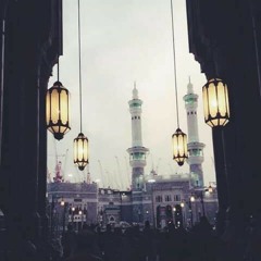 وَأَشْرَقَتِ الْأَرْضُ بِنُورِ رَبِّهَا ...
