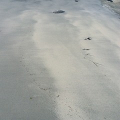 Forever-ever-er Delayed-laid-id