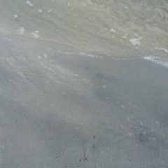 Tret Sipping Maiming Manatees