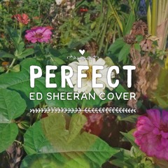 Perfect - Ed Sheeran Cover