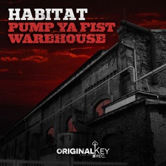 Habitat - Pump Ya Fist/Warehouse