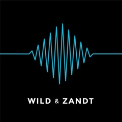 Wild & Zandt Vol. 2: Rewind