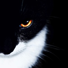 Miauw