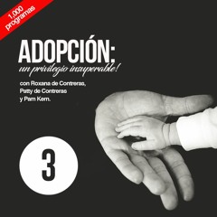 2017_22_03 Adopción - Un Privilegio Insuperable (Miércoles)