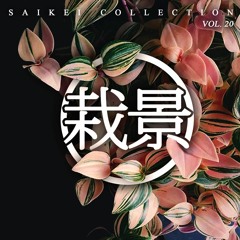Saikei Collection Vol. 20